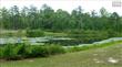 305 W Longtown Road , Blythewood, SC