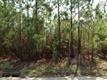 141  Ridgemont Drive , Columbia, SC