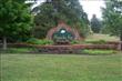 Chapin