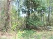 0 E Mcswain Drive , West Columbia, SC