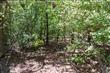 0  Loblolly Road , Gilbert, SC