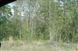 116  Pine Loop Drive , Blythewood, SC