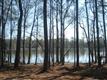 1632  Lakewood Drive , Prosperity, SC