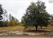 3857  Two Notch Road , Gilbert, SC