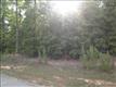 317  Rocky Meadow Drive , Gilbert, SC