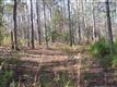 291  Pioneer Shores Road , Prosperity, SC