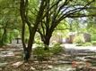 1839  Savannah Highway , North, SC