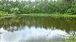 470  Langford Road , Blythewood, SC