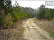 0  Long Oak Lane , Chapin, SC