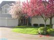 6029  Glenbarr Pl , Dublin, OH