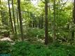 0  Beachwood Dr , Granville, OH