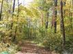 5892  Gale Rd , Pataskala, OH