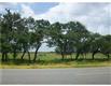 0 Hwy. 188 (99 Ac.), Sinton, TX 78387