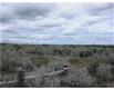 318 Cr 3032, Orange Grove, TX 78372