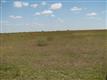 0 N Hwy 281 #Lt 32, Orange Grove, TX 78372