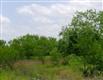3792  Davis , Robstown, TX