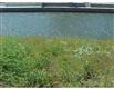 15621  Cruiser , Corpus Christi, TX