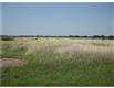 355 Cr., Orange Grove, TX 78372