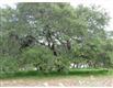 0 Lamont South, Aransas Pass, TX 78336