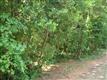 120  Jackson Ave , Emerald Isle, NC