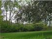 559  Dogwood Rd , Orange, CT