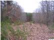 0  Porters Rd , Esmont, VA