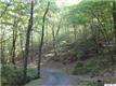  Rock Creek Ln (Nelson) 