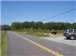 21  Rolling Rd , Scottsville (Albemarle), VA