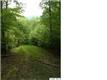 0  Hollow Ln , Shipman, VA