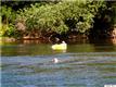 6800 Norwood Rd, Norwood (Nelson), VA 24581