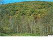 1400  Pounding Branch Rd , Afton (Nelson), VA