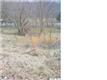 298  Riverside Ave (Charlottesville) , Charlottesville (City Of), VA