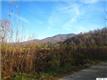199  Walk Around Ln , Roseland, VA
