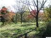 199 Walk Around Ln #Lot B, Roseland, VA 22967
