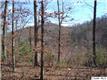 0  Wheelers Cove Rd , Shipman, VA