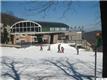 302  Dobie Condos , Wintergreen (Nelson), VA