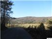 Deer Path Rd, Stanardsville (Greene), VA 22973