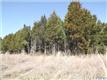 3  Chisholm Ln , Palmyra, VA
