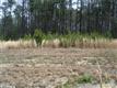 11207  Longtown Place , Chesterfield, VA