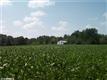 2813  Cox Road , Dinwiddie, VA