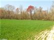 9264  Ashcake Road , Hanover, VA