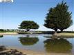 8  Admiral Drive , Emeryville, CA
