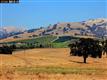 Livermore