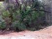 2004 Reliez Valley Road, Lafayette, CA 94549