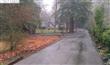 1597  Hillgrade Ave , Alamo, CA