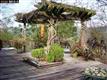 1099 Via Roble, Lafayette, CA 94549