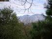 1099 Via Roble, Lafayette, CA 94549