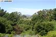 3358  Saddle Dr , Hayward, CA