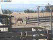 4135 N Vasco Road, Livermore, CA 94550