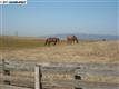 4135 N Vasco Road, Livermore, CA 94550